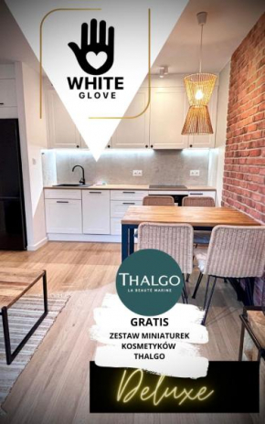 Apartament WHITE GLOVE deluxe Kopernik